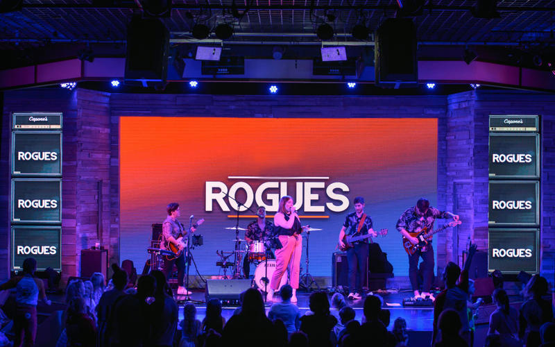 Rogues