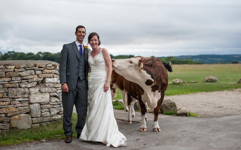 Old Lodge Whitewed Directory approved indoor outdoor wedding ceremony reception venue Cotswolds Minchinhampton Common Stroud Valley bride groom cow portrait