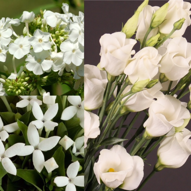 The Royal Wedding...How to bring a touch of Markle Sparkle to your day