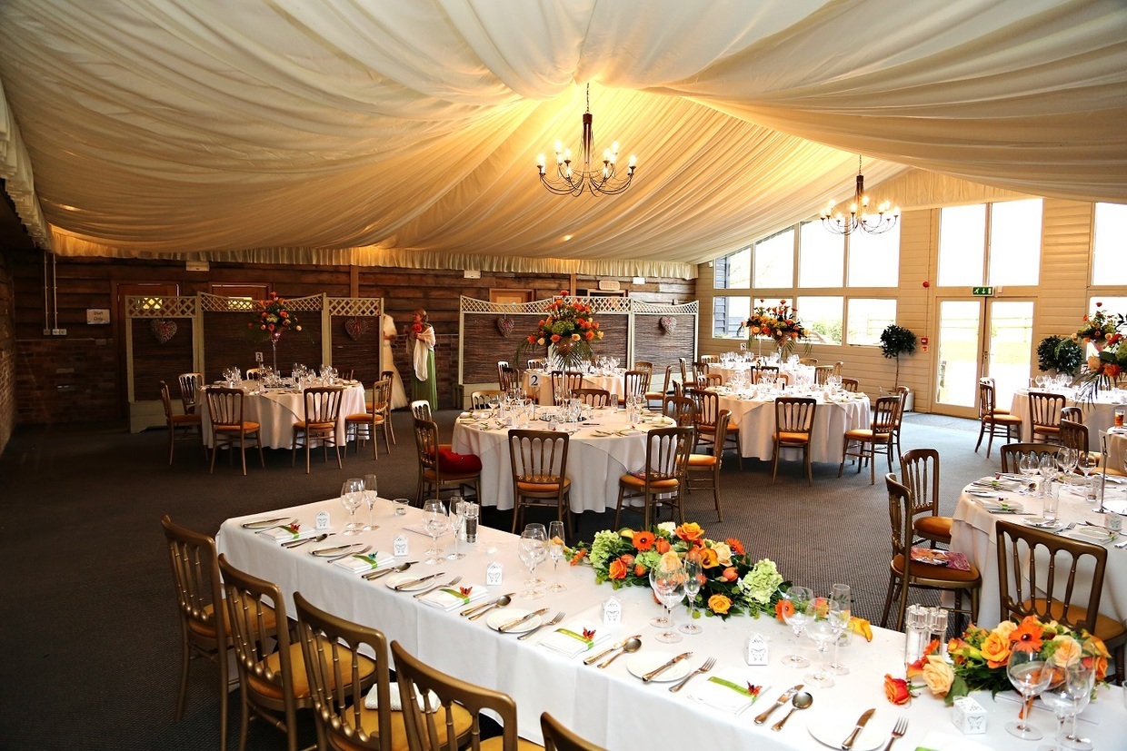 From the Professionals...Hired help for your big day