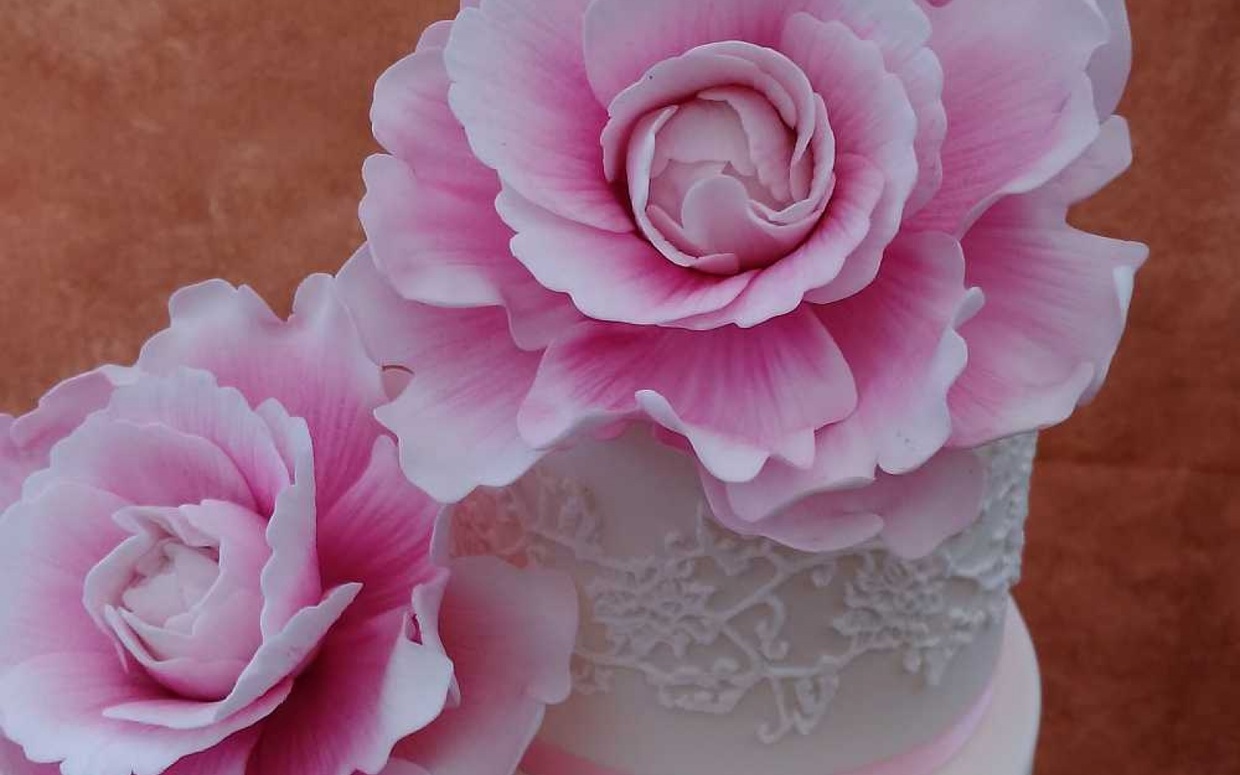 Cakeoholix are LIVE on our Directory!